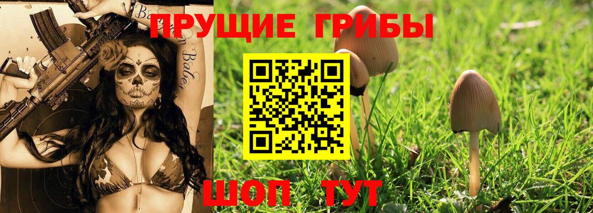 Галлюциногенные грибы Psilocybine cubensis  Псилоцибиновые грибы Psilocybe  Кашира  Вход с VPN 