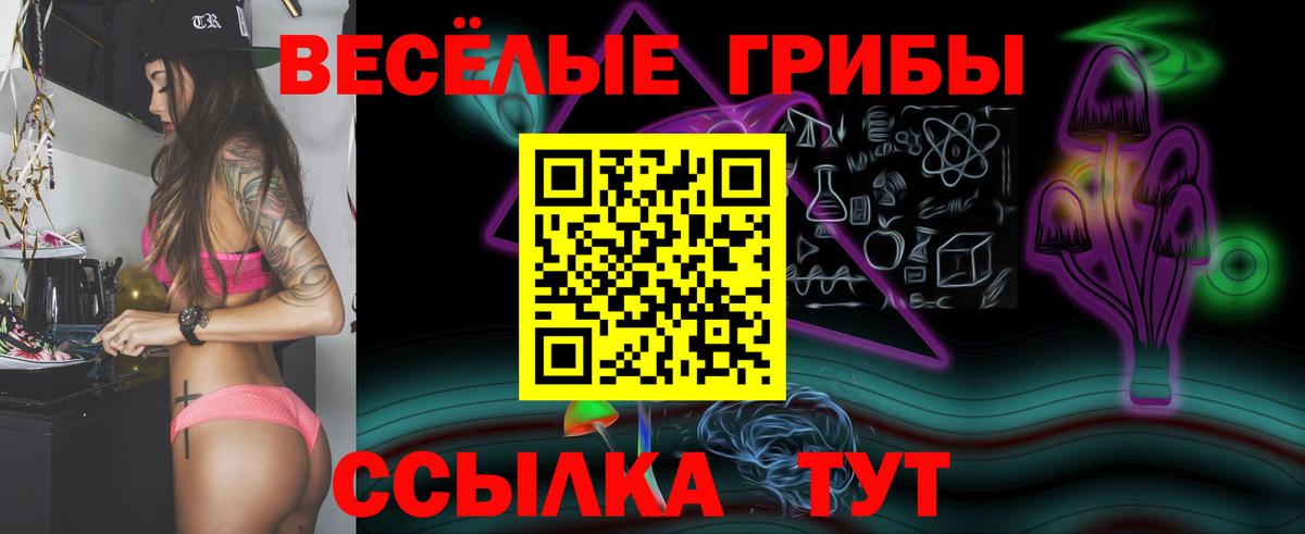 Псилоцибиновые грибы GOLDEN TEACHER Кашира